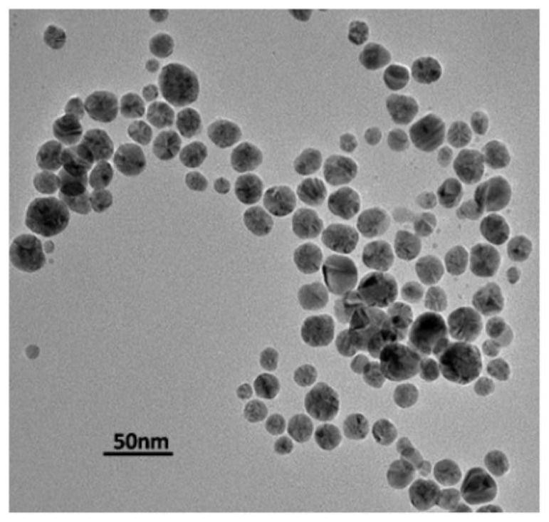 A kind of preparation method and application of green sol test paper for rapid detection of sulfide ion