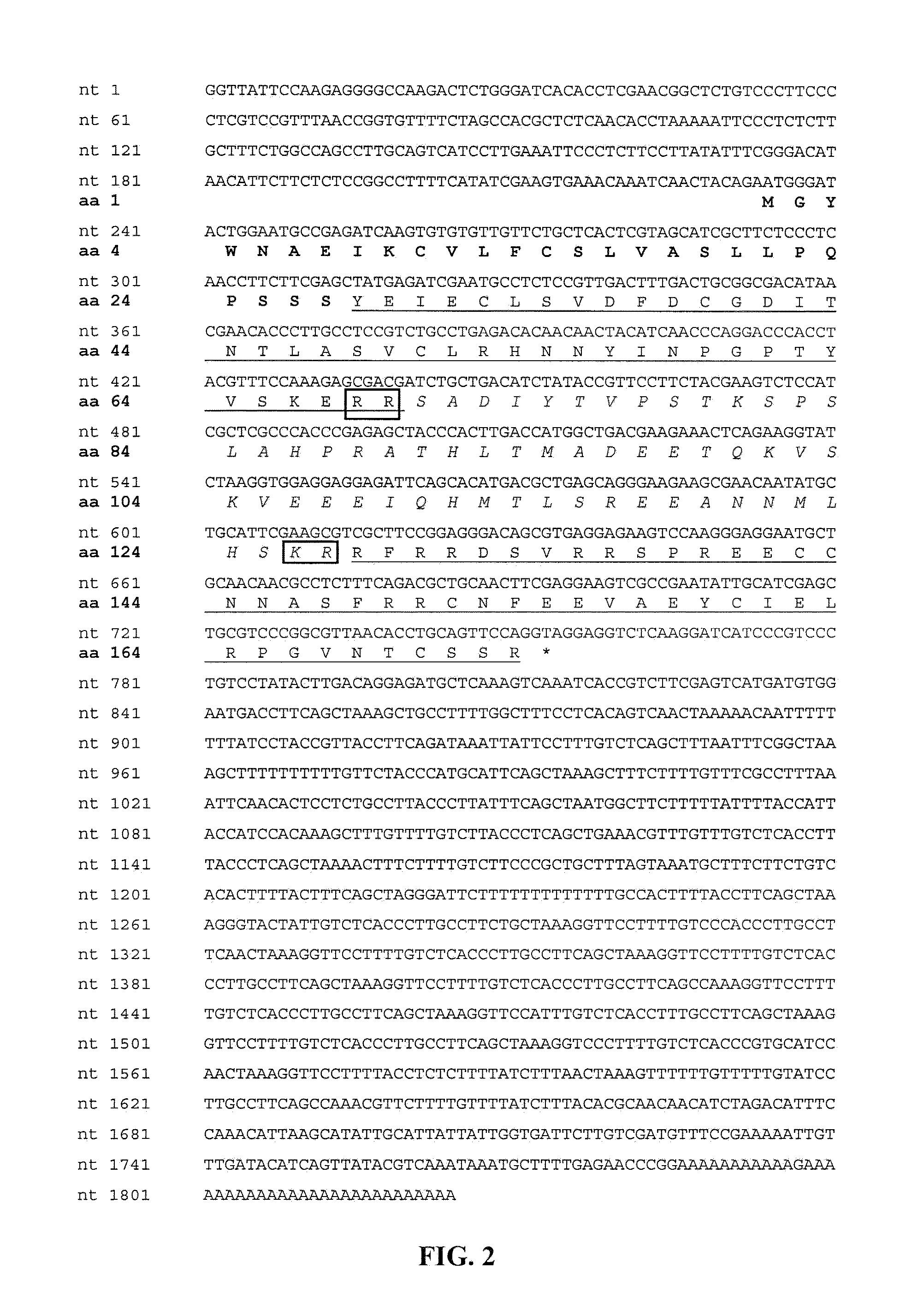 Insulin-like gene in prawns and uses thereof