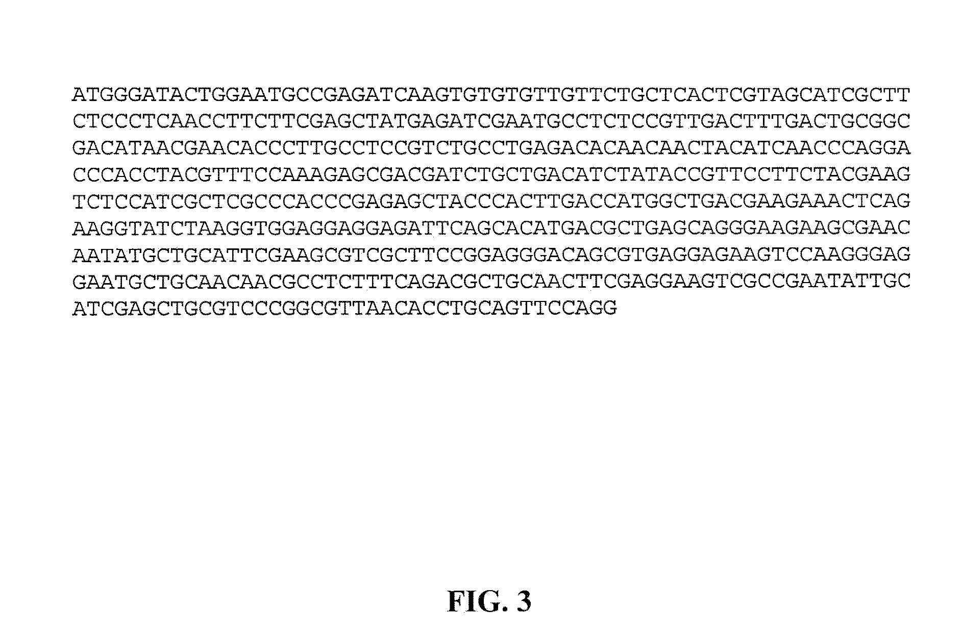 Insulin-like gene in prawns and uses thereof