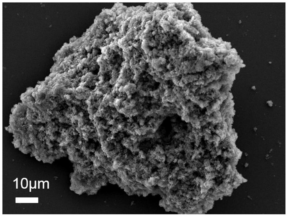 Preparation method of polydopamine derived carbon-coated calcium vanadate nanosheet composite material