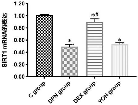 Application of dexmedetomidine in preparation of pharmaceutical composition for improving diabetic peripheral neuropathy