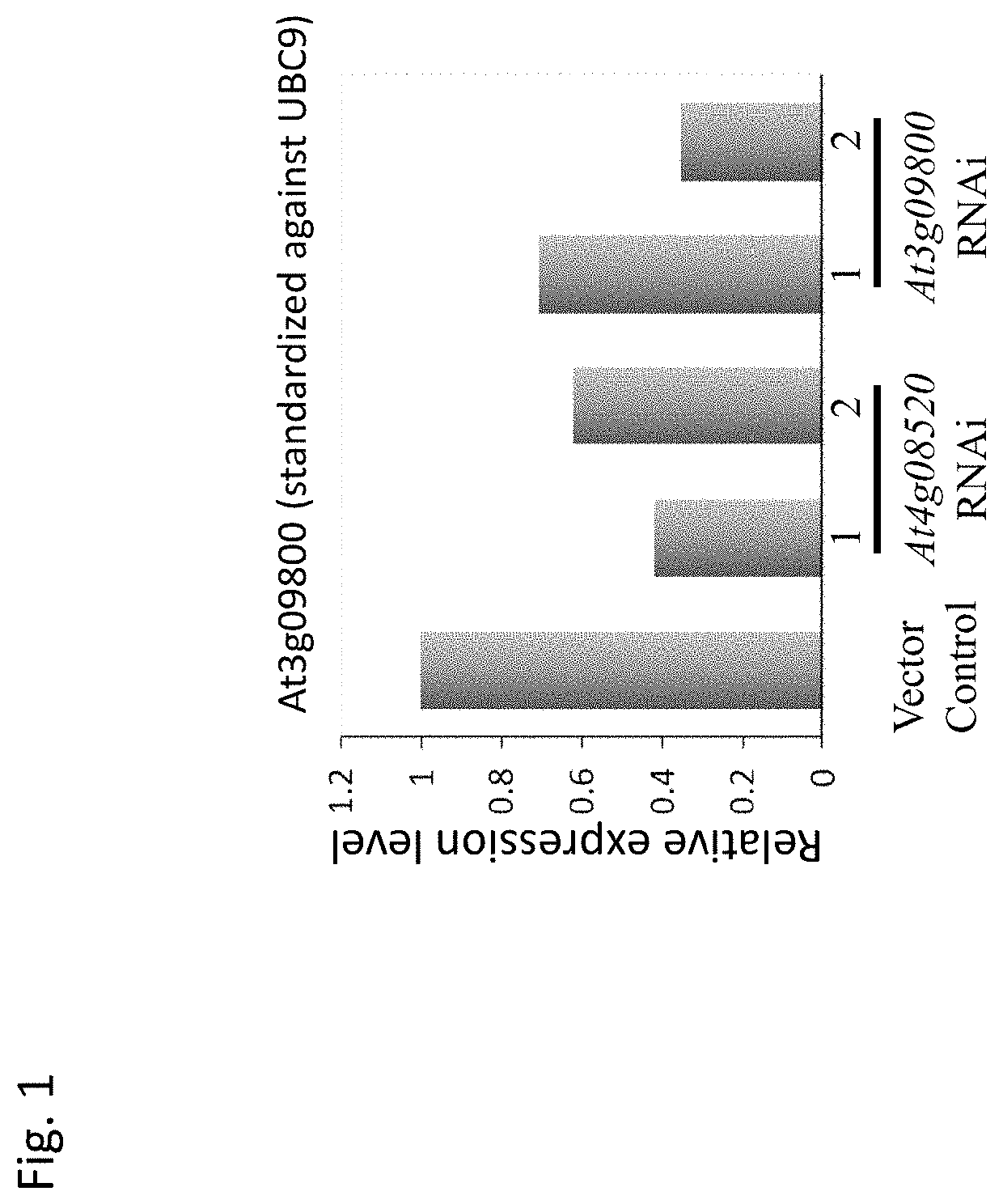 Plant in which expression of a clathrin and/or coatomer subunit is suppressed or inhibited, a method for increasing the production of plant biomass and a method for producing a plant