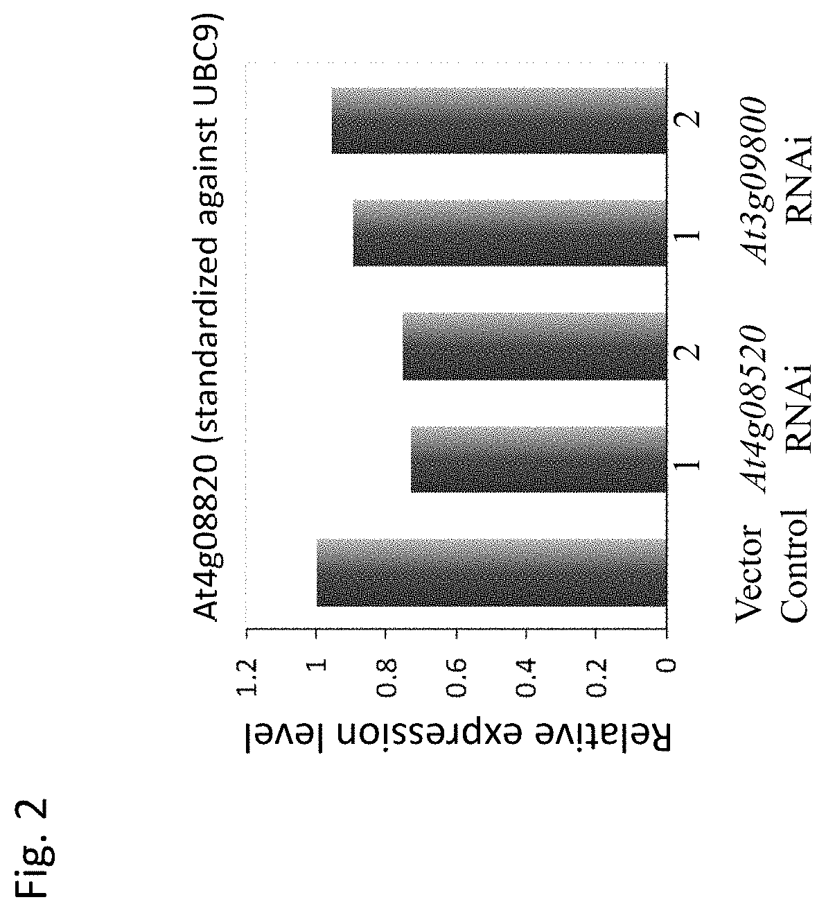 Plant in which expression of a clathrin and/or coatomer subunit is suppressed or inhibited, a method for increasing the production of plant biomass and a method for producing a plant