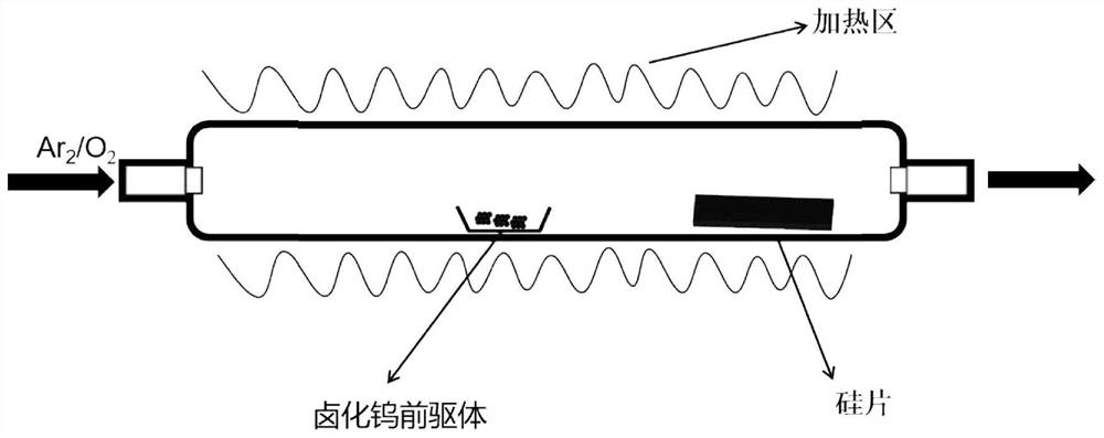 Ultra-long one-dimensional dihalogen tungsten dioxide material and preparation method thereof