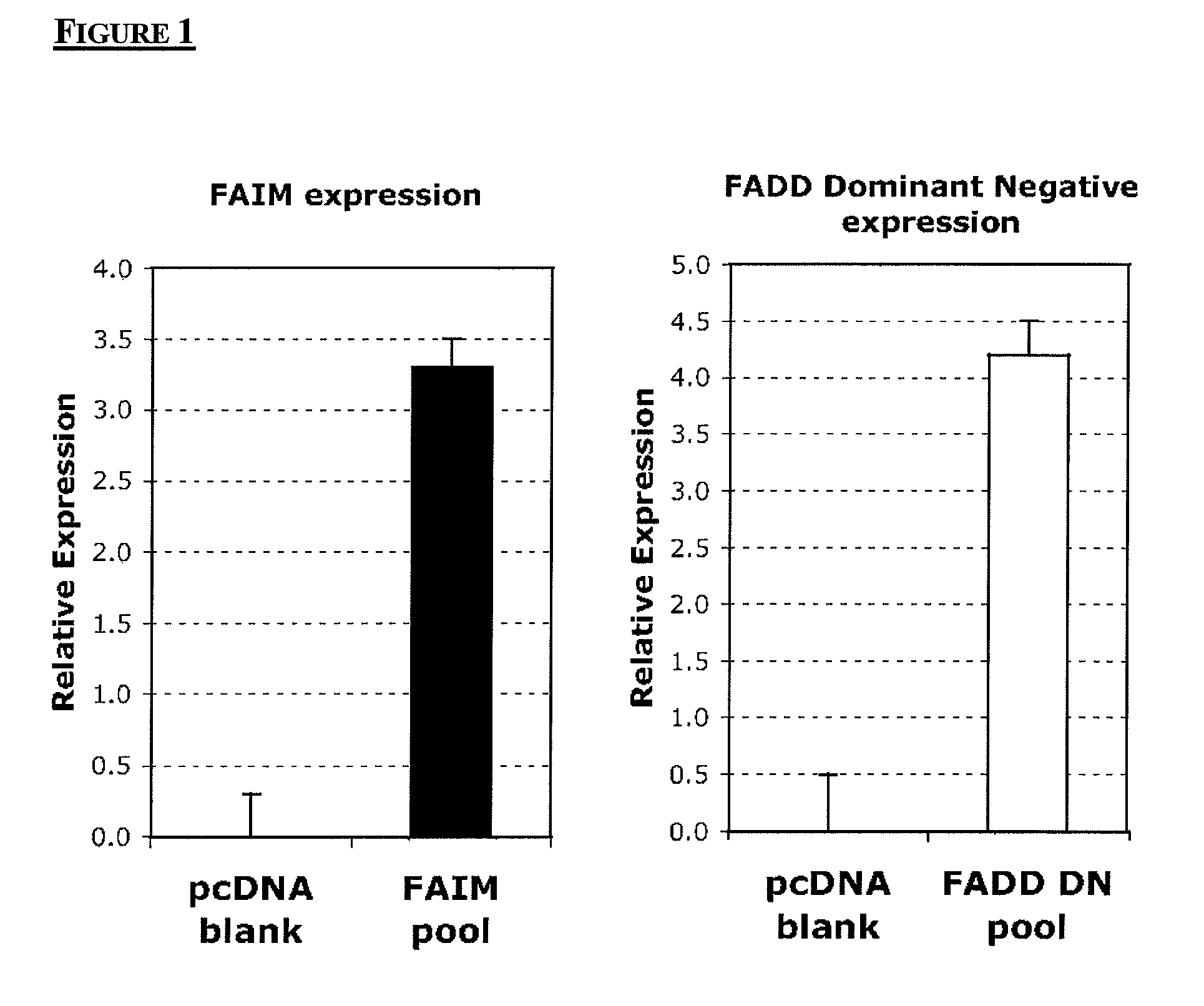 Chinese hamster apoptosis-related genes