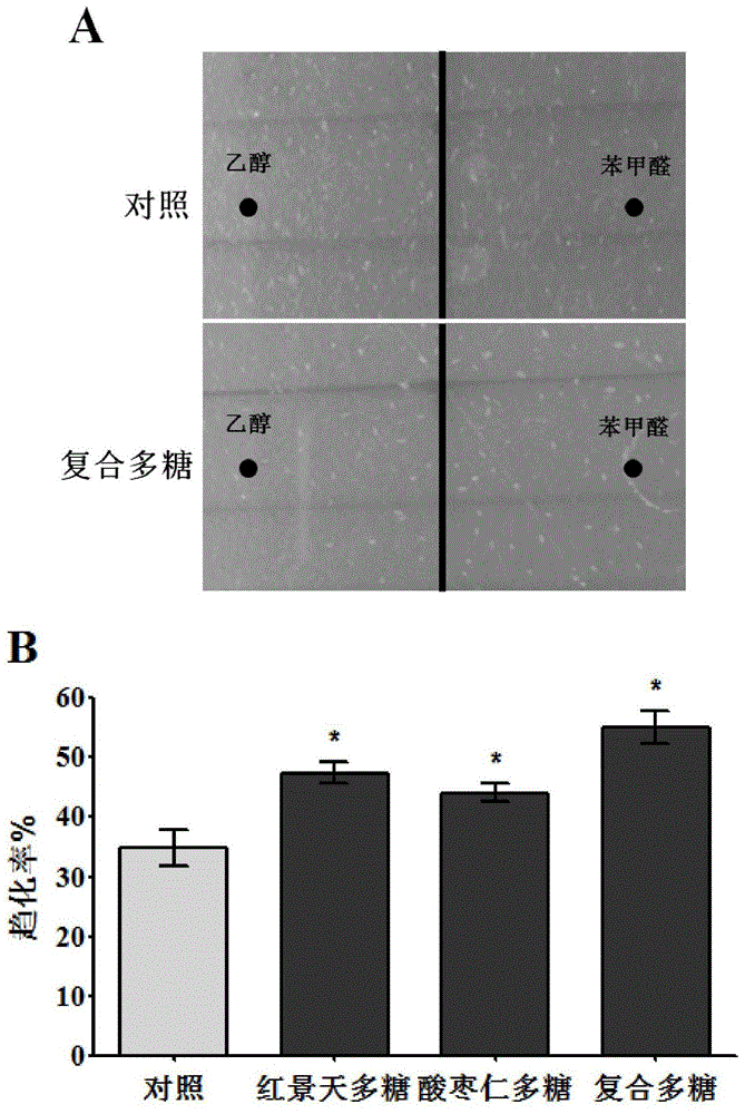 Use of rhodiola root and spine date seed compound polysaccharide in preparation of anti neurodegenerative disease health food