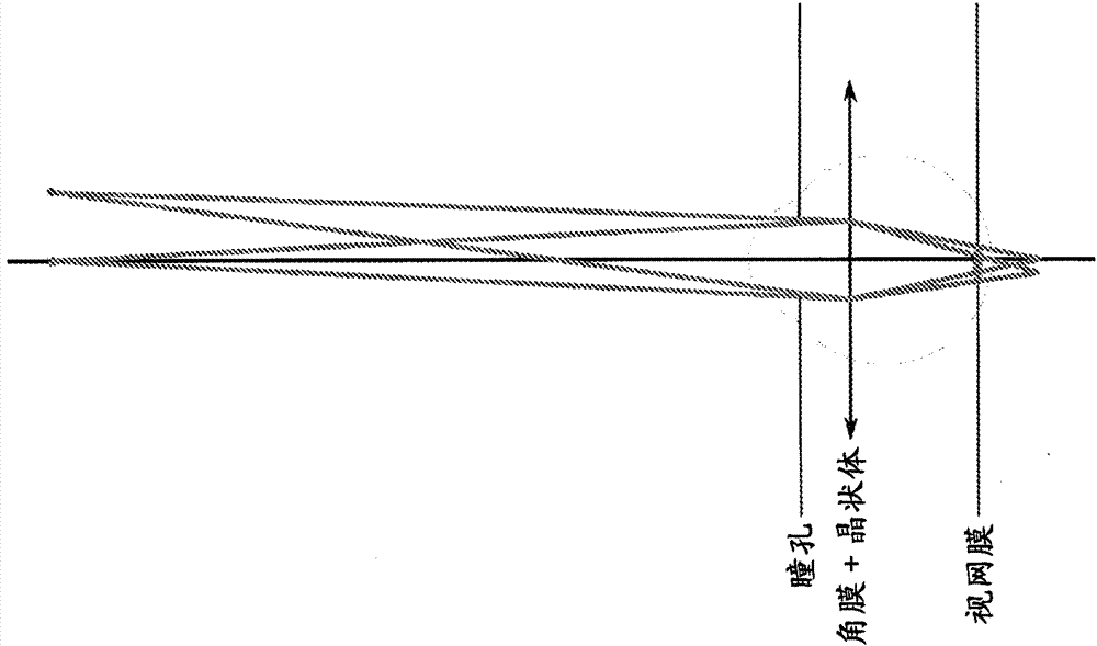 System and method for rendering a display to compensate for a viewer's visual impairment