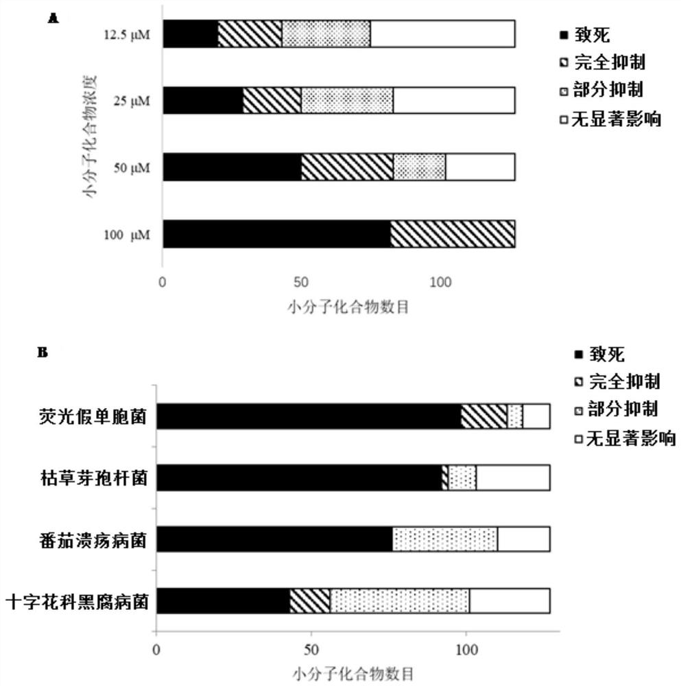 A method for preventing and controlling melon bacterial fruit spot and its special seed fungicide