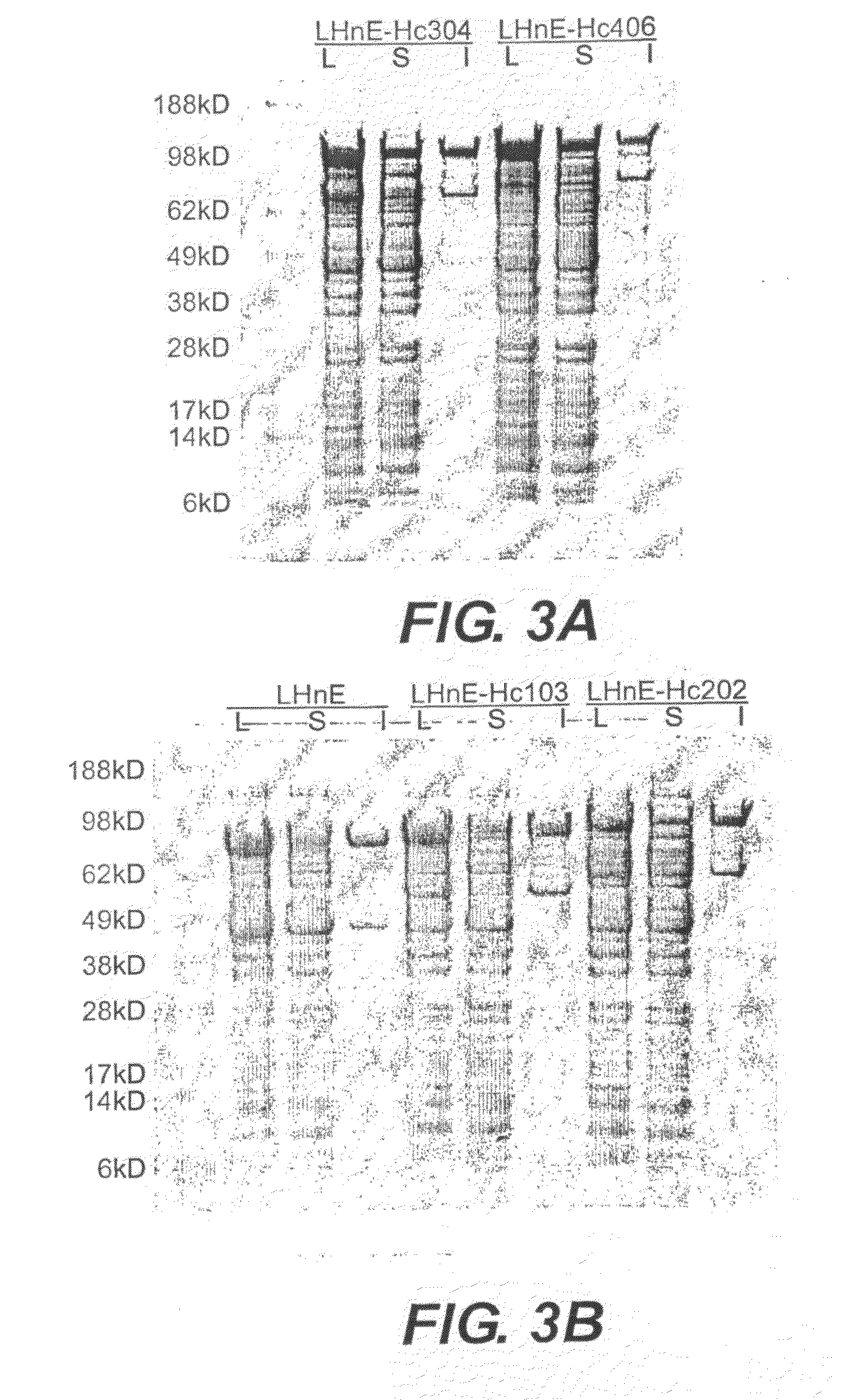 Proteins with Improved Solubility and Methods for Producing and Using Same