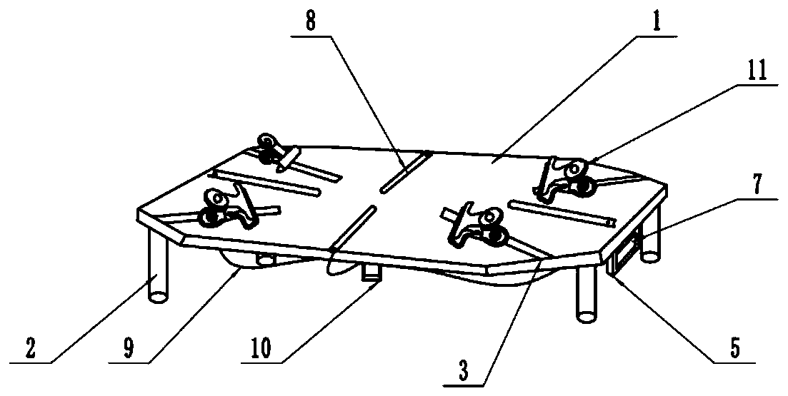 Dissecting table of animal model