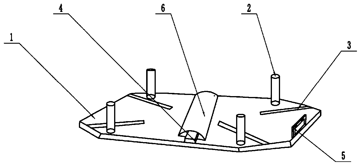 Dissecting table of animal model