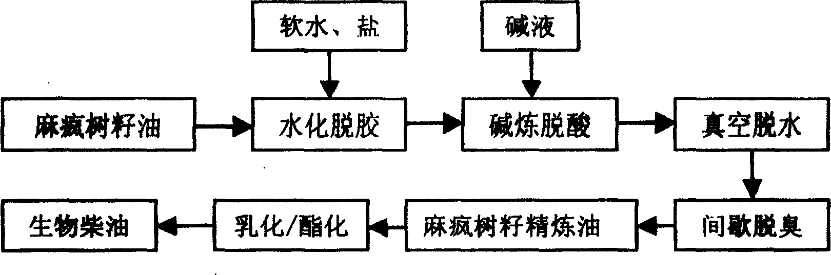 Biological diesel oil and method for preparing same