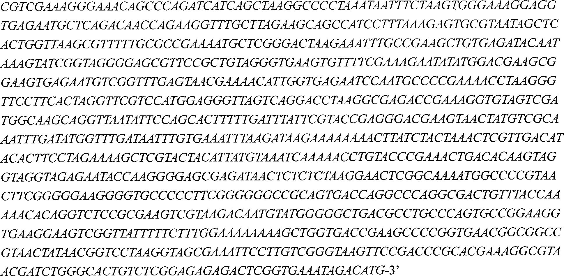 Method for constructing Platymonas subcordiformis chloroplast expression system