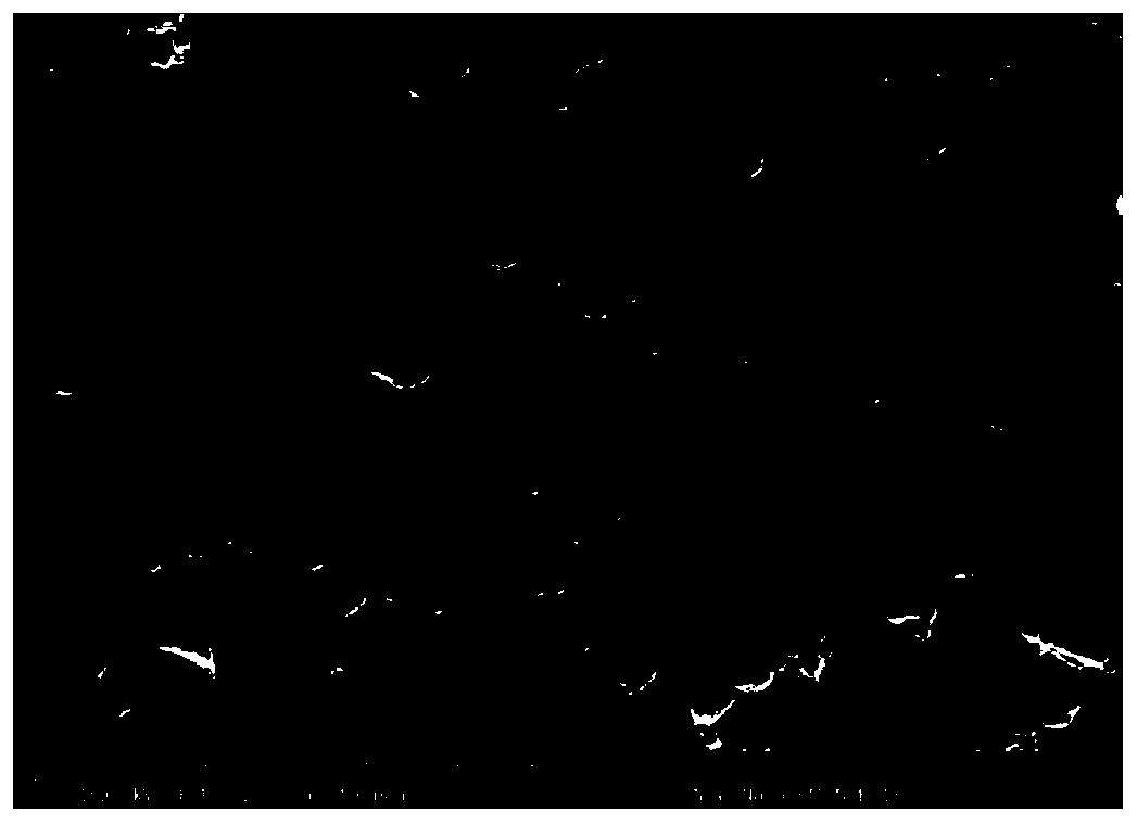 Brominated butyl rubber-nylon thermoplastic elastomer with air tightness and preparation thereof