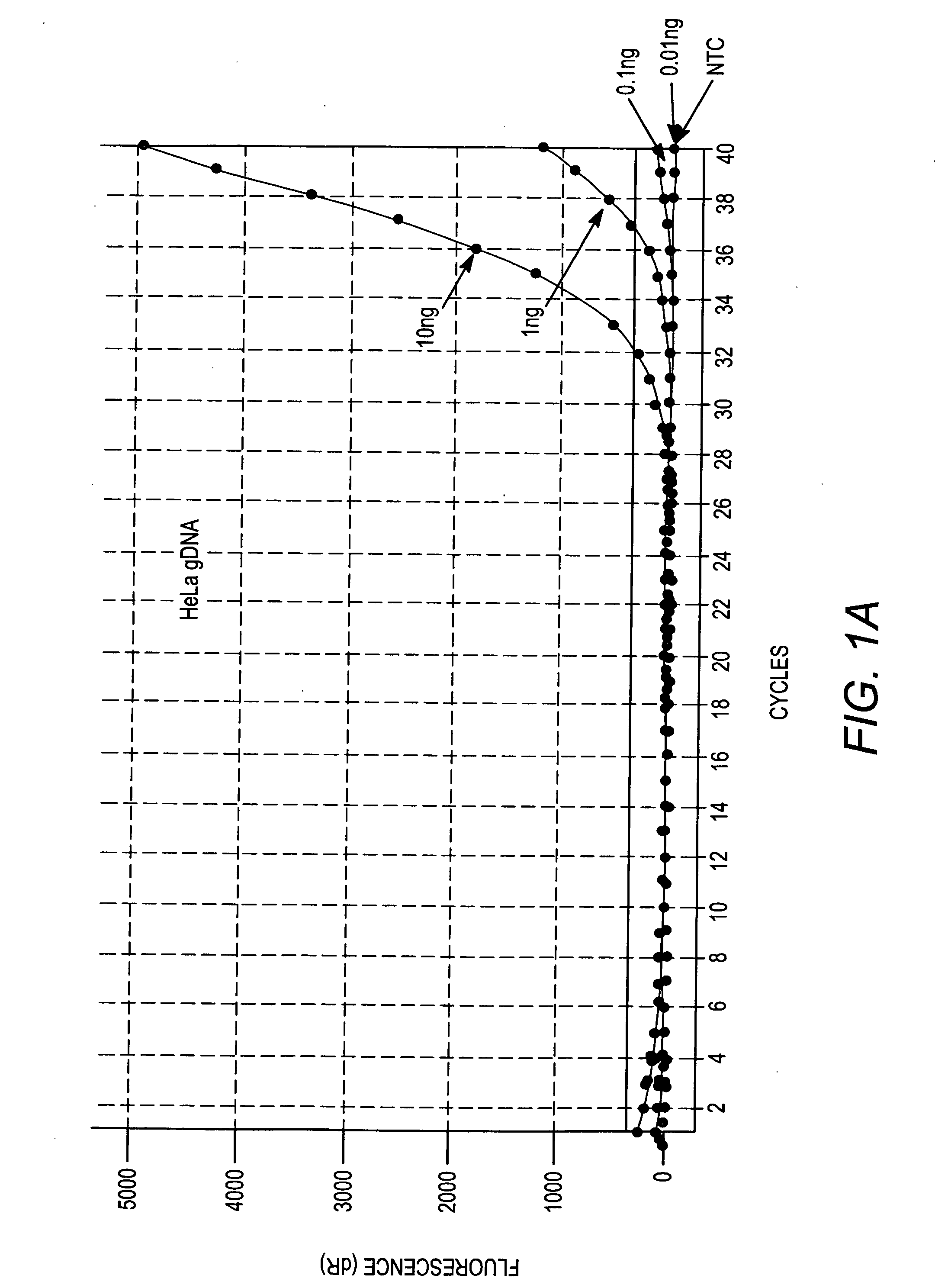 Normalization of samples for amplification reactions
