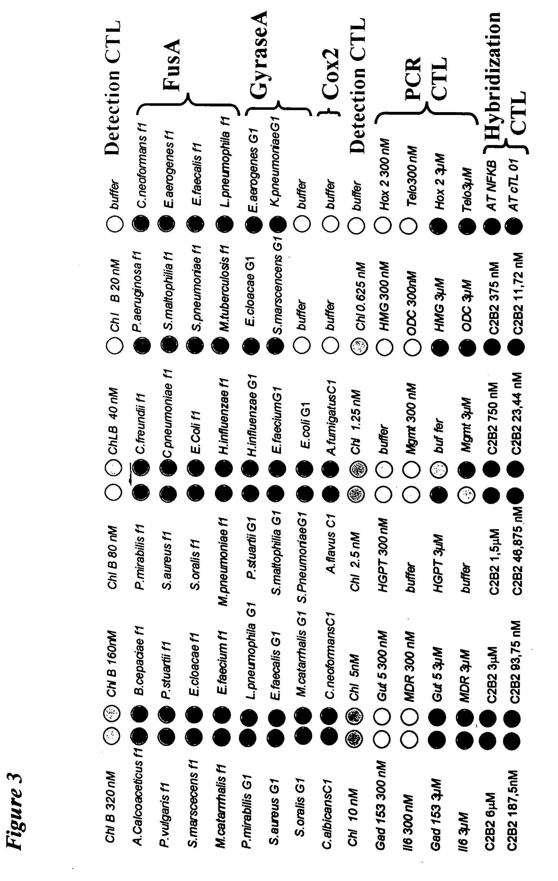 Method and kit for the detection and/or quantification of homologous nucleotide sequences on arrays