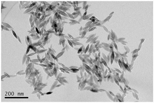 Preparation method of fusiform iron oxide single crystal nano material