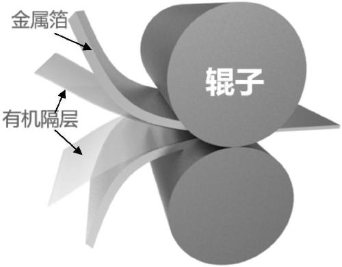 Preparation method of metal nanosheet, metal nanosheet, application and cathode active material