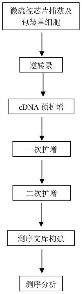 High-throughput single-cell transcriptome sequencing method and kit
