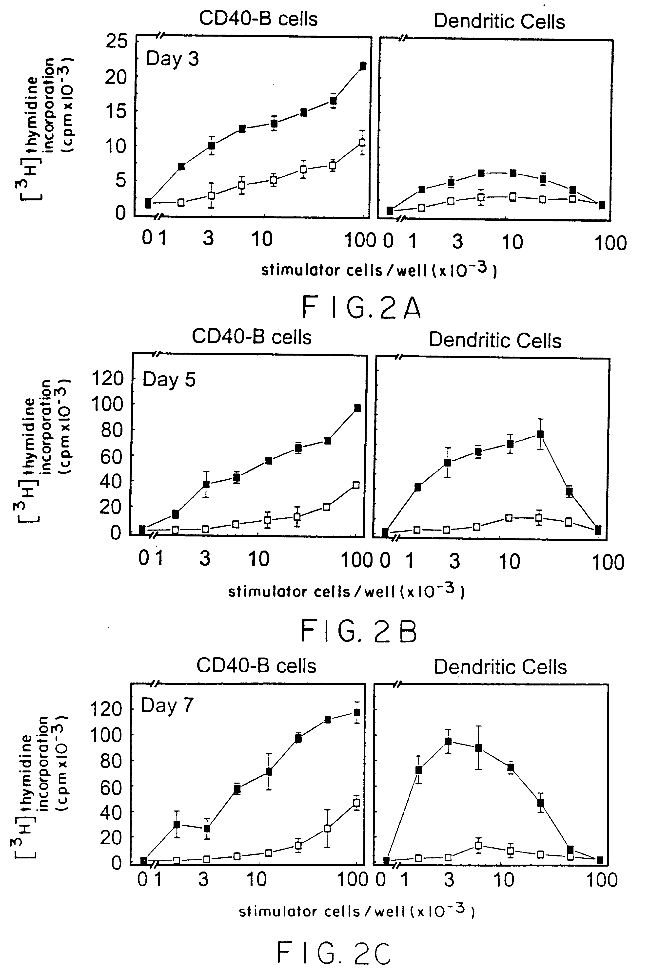 Method of promoting b-cell proliferation and activation with CD40 ligand and cyclosporin