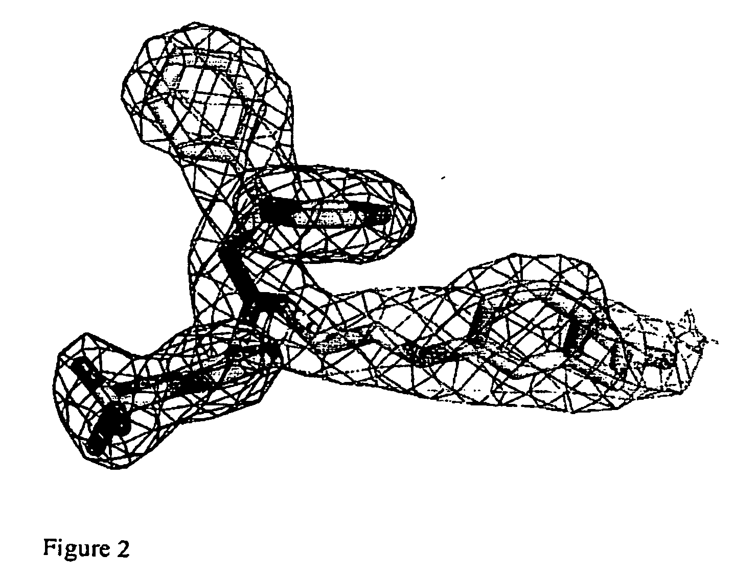 Protein crystal