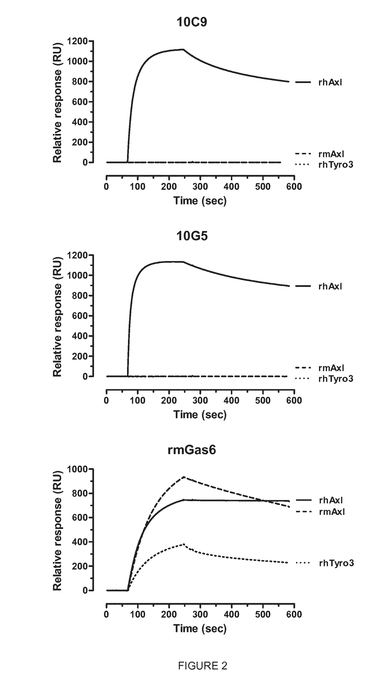 Anti-axl antagonistic antibodies