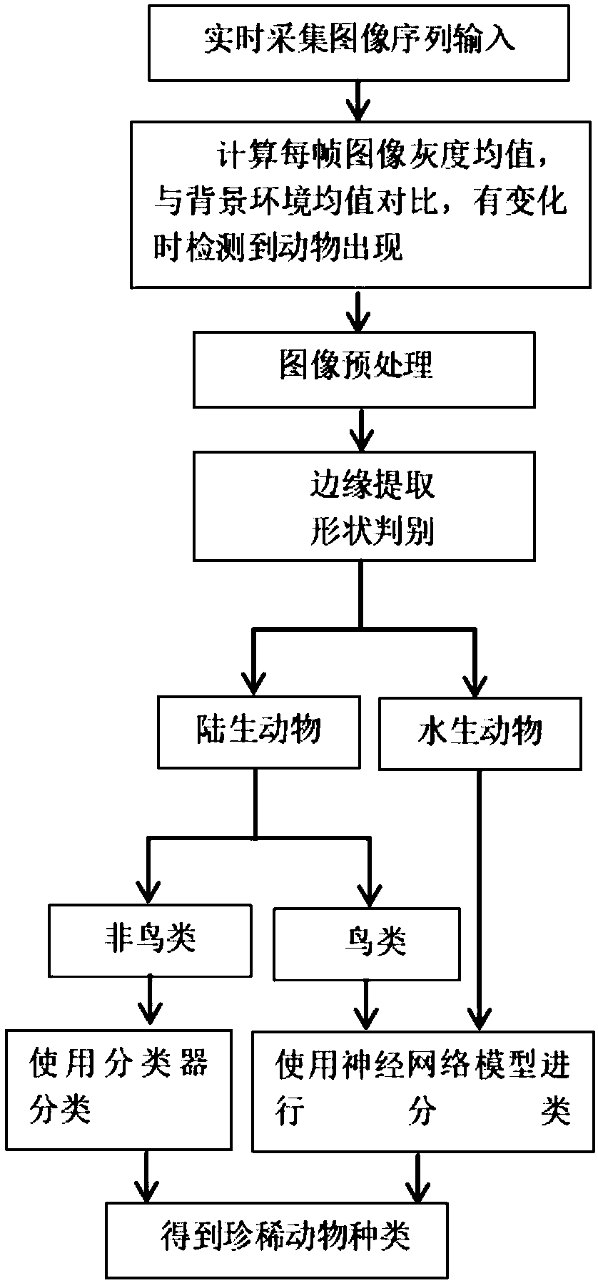 Online detection and identification method for rare animal protection