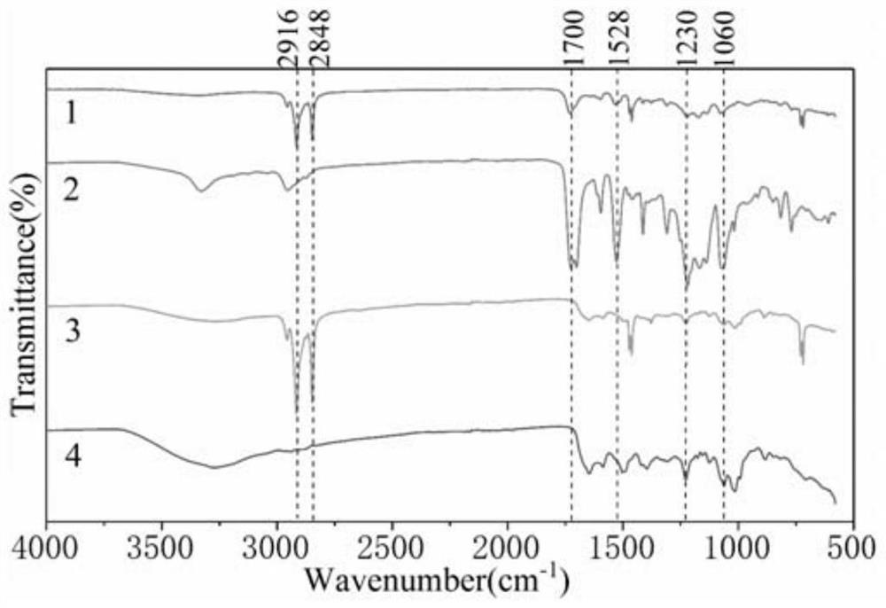 Preparation method of double-layer composite film