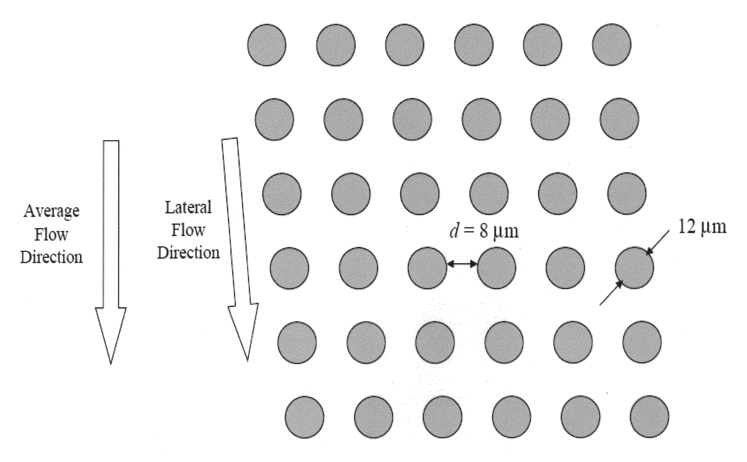 Methods and compositions for identifying a fetal cell