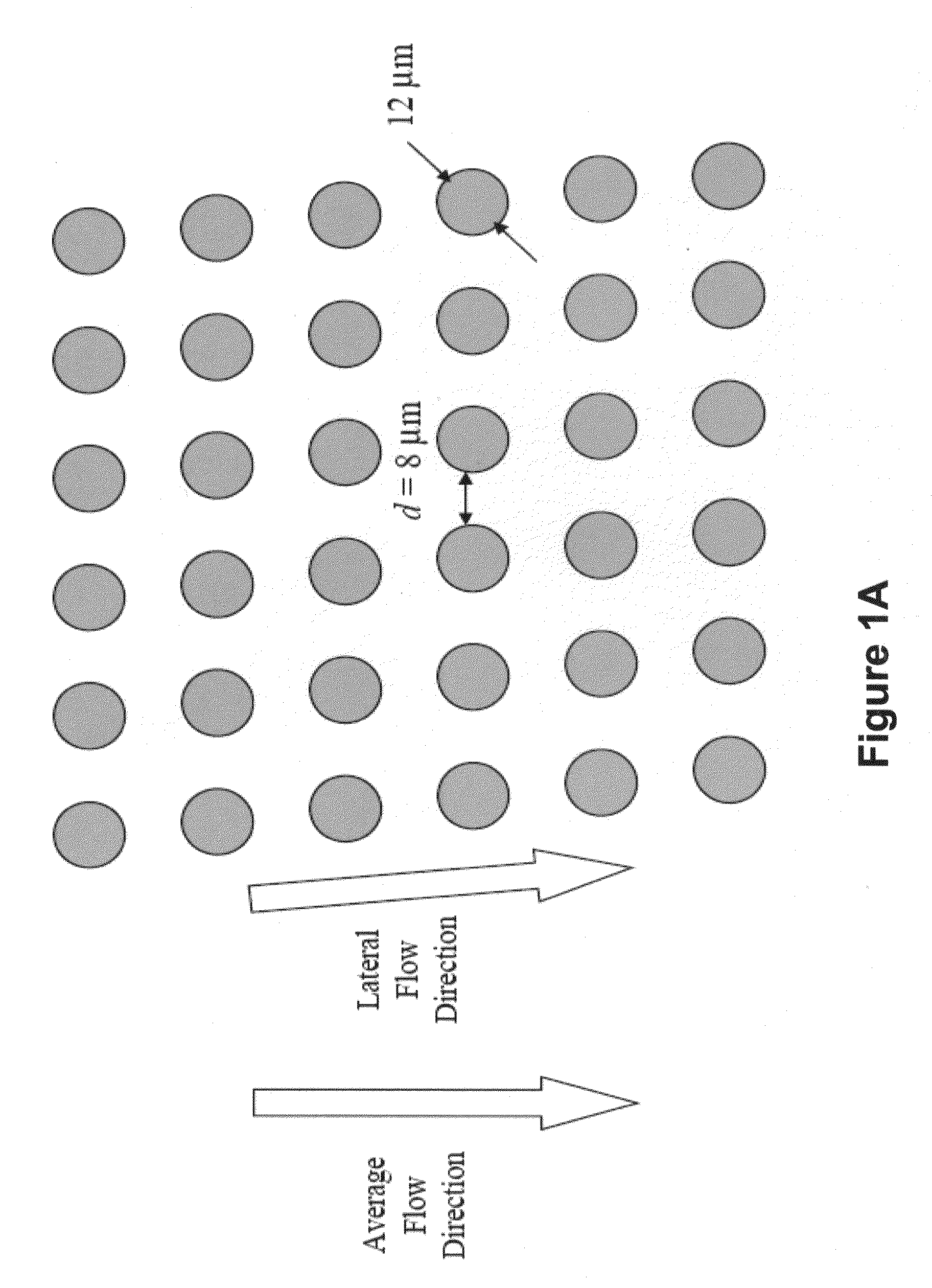 Methods and compositions for identifying a fetal cell