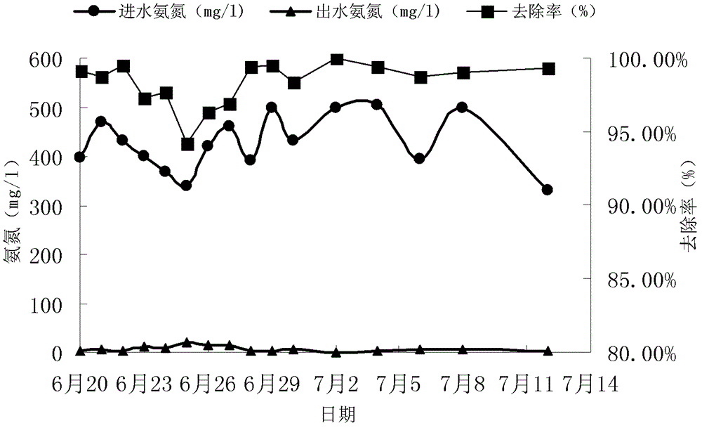 Device and method for treating ammonia nitrogen wastewater by using dioxygen biological filler