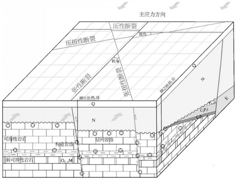 Carbonate rock geothermal well fixing method based on tectonic stress field