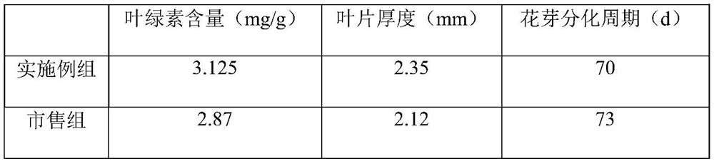 Iron-magnesium water-soluble fertilizer and preparation method thereof