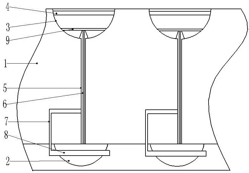 Planting method of angelica dahurica