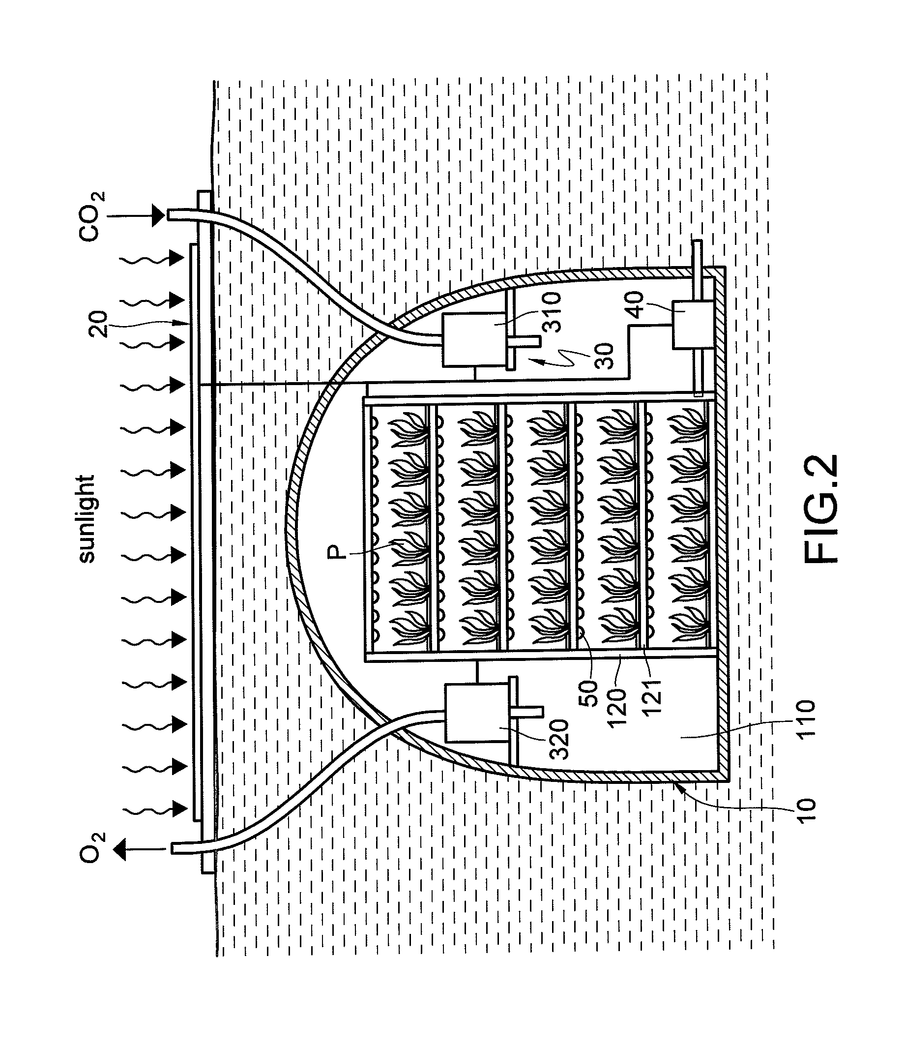 Plant-growing device with light emitting diode