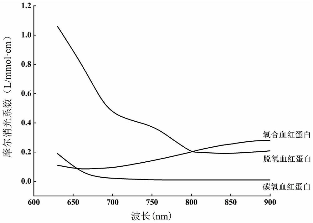 Detection system and method for noninvasive measurement of tissue deoxidation, oxygenation and carbonyl hemoglobin