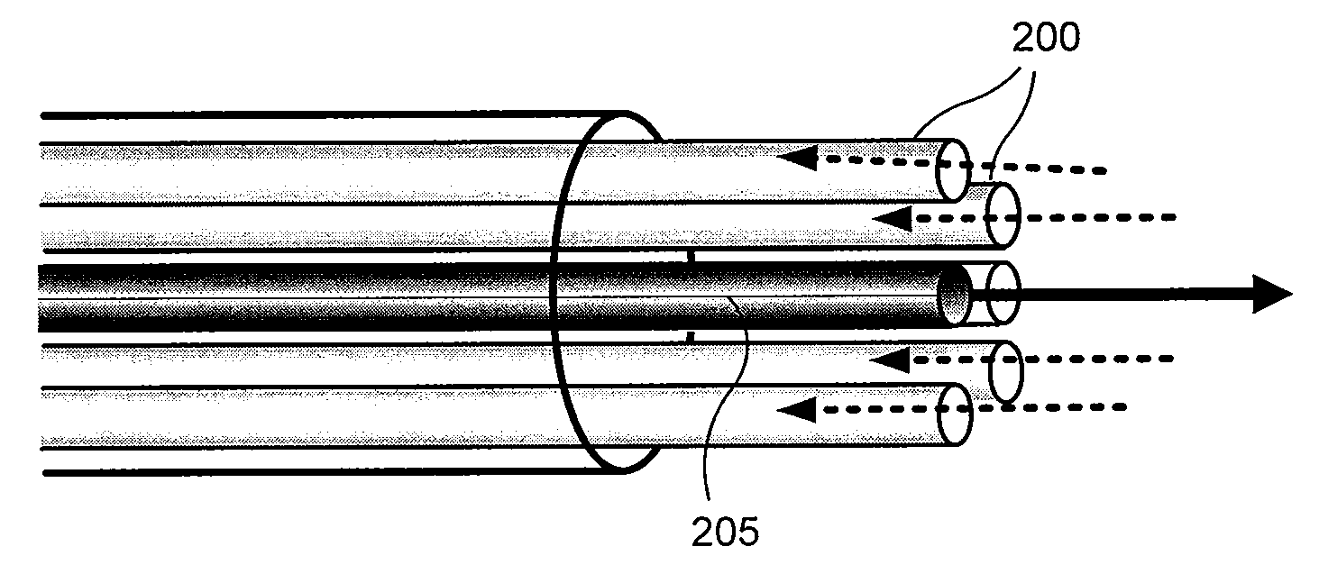 System and method providing intracoronary laser speckle imaging for the detection of vulnerable plaque