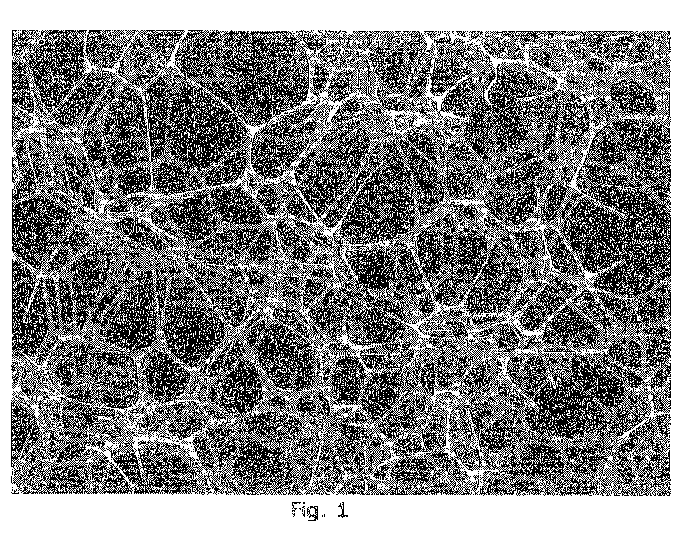 Method for the production of abrasive foams