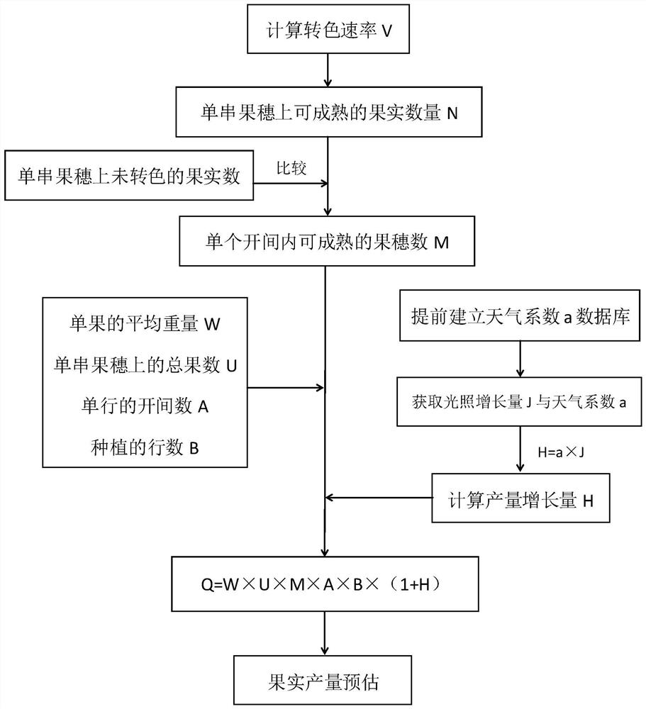 Fruit yield estimation method and application thereof