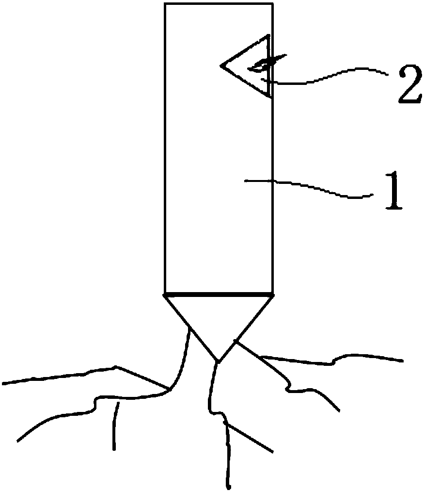 Dragon-fruit grafting method