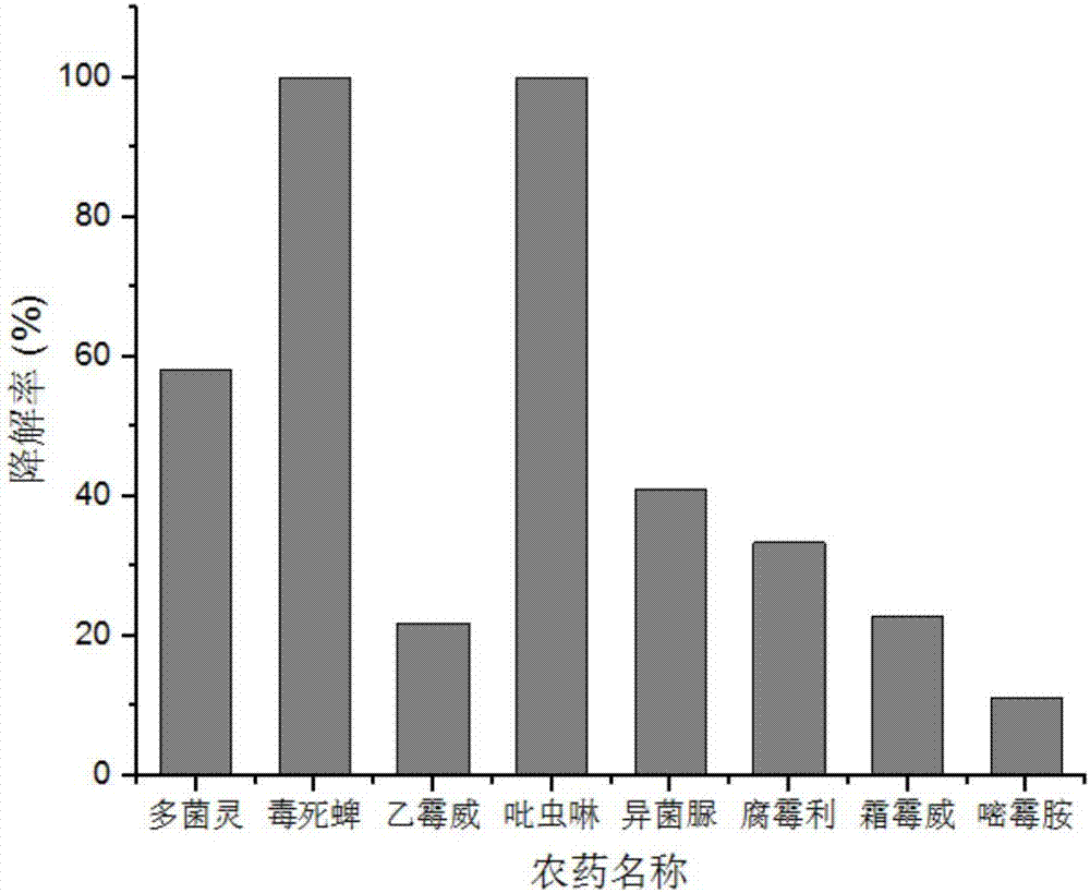 Extended Lysinibacillus macroides strain, enzyme preparation and application of extended Lysinibacillus macroides strain and enzyme preparation in degradation of pesticide residues.
