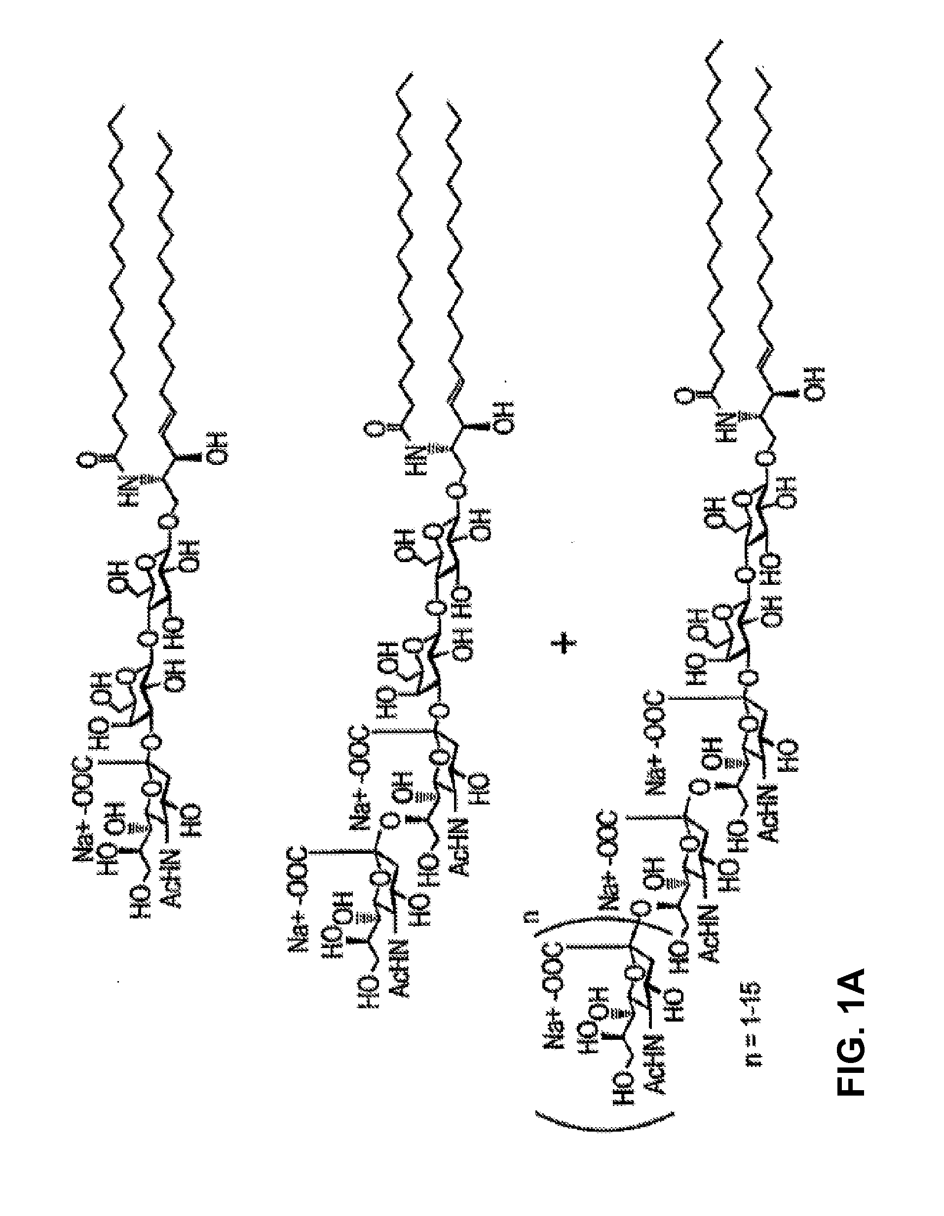 Mutant endoglycoceramidases with enhanced synthetic activity