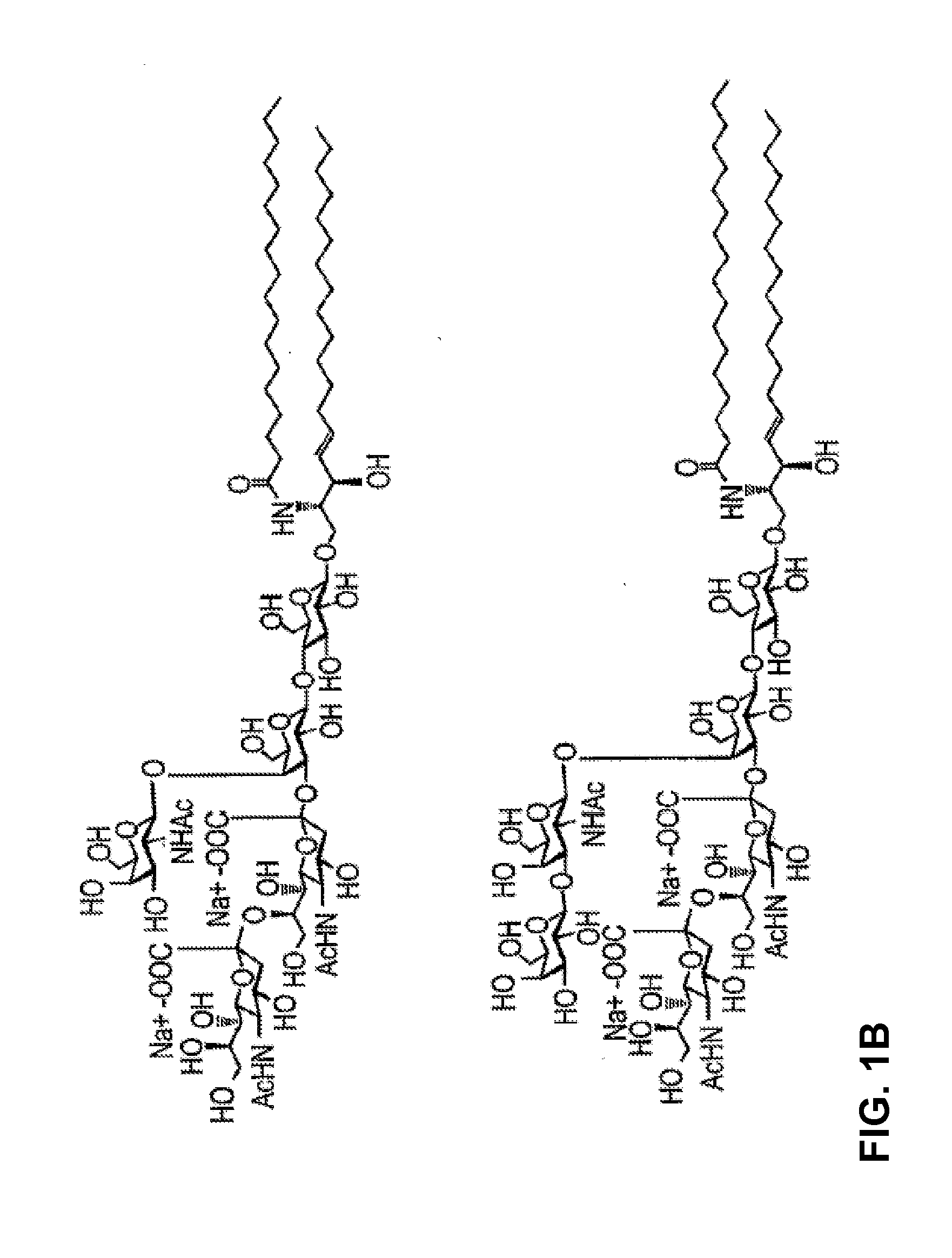 Mutant endoglycoceramidases with enhanced synthetic activity