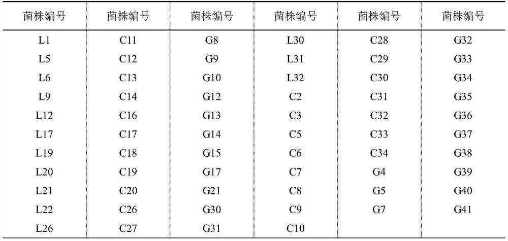 A kind of Lactobacillus plantarum C20 used for silage fermentation of vegetables and its application