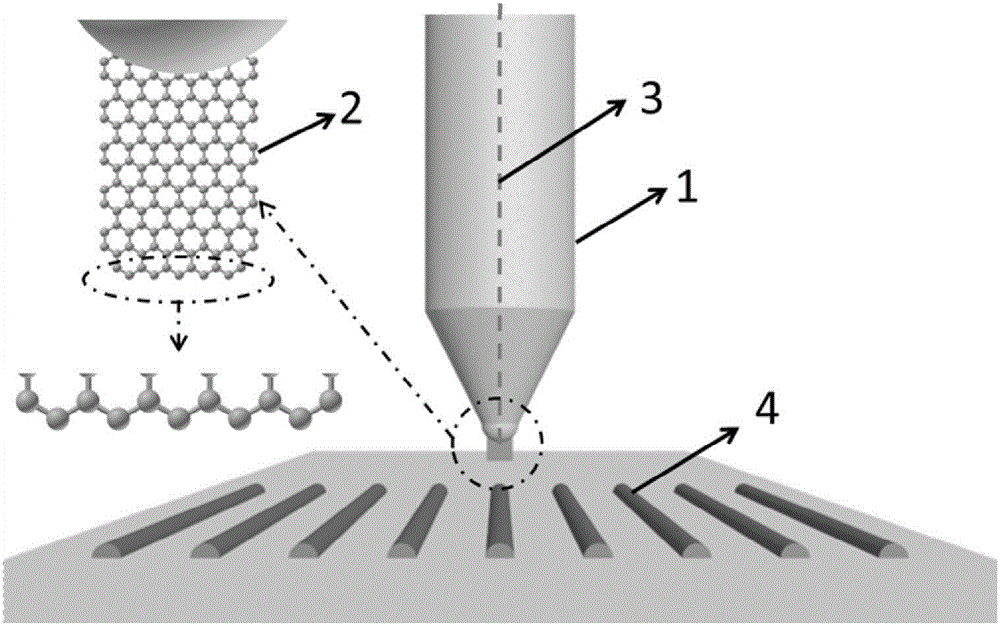 Scanning tunneling microscope probe with use of two-dimensional atomic crystal material