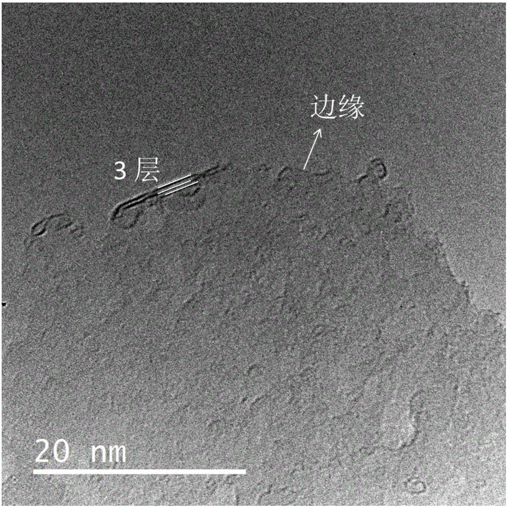 Scanning tunneling microscope probe with use of two-dimensional atomic crystal material