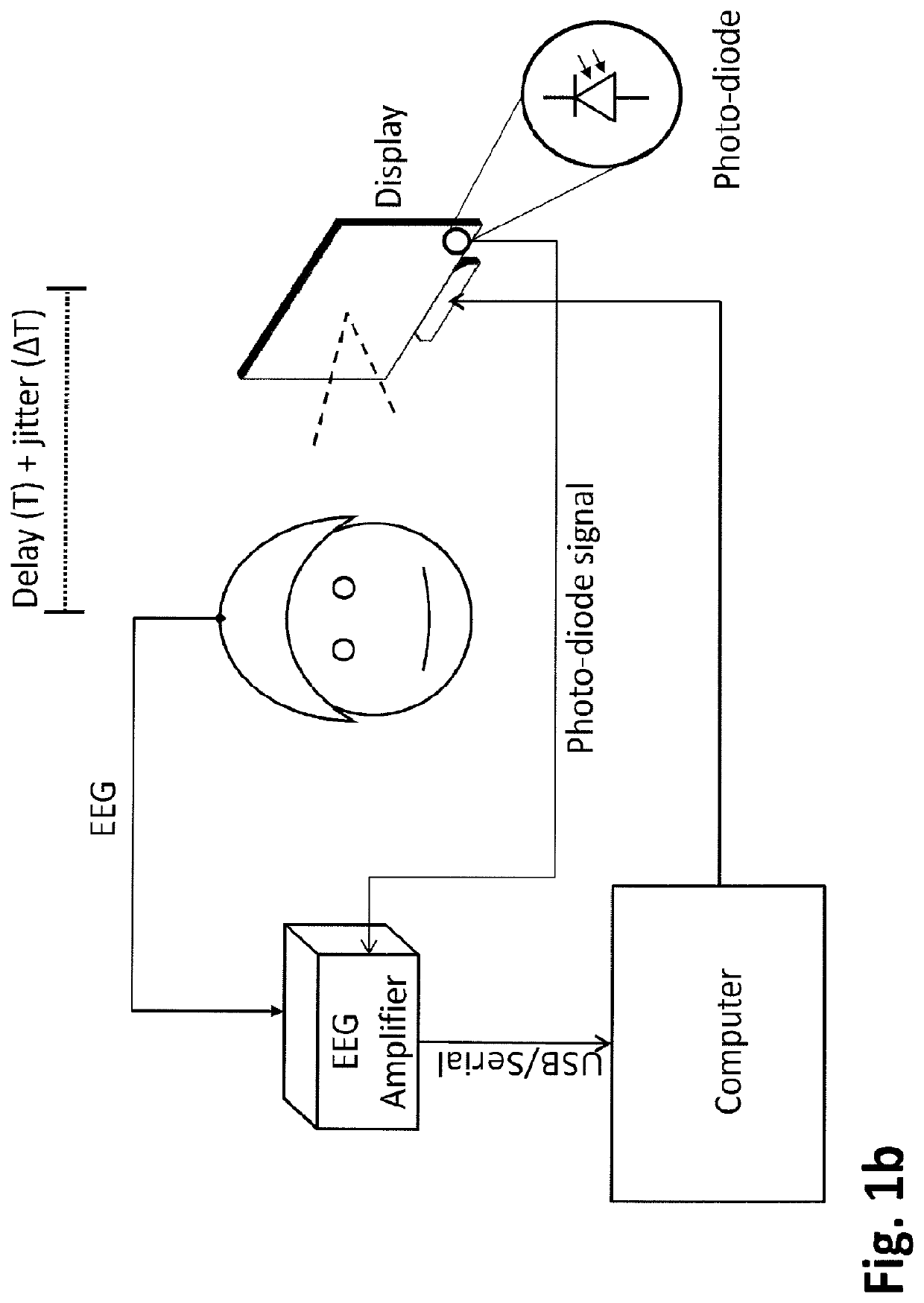 Brain activity measurement and feedback system