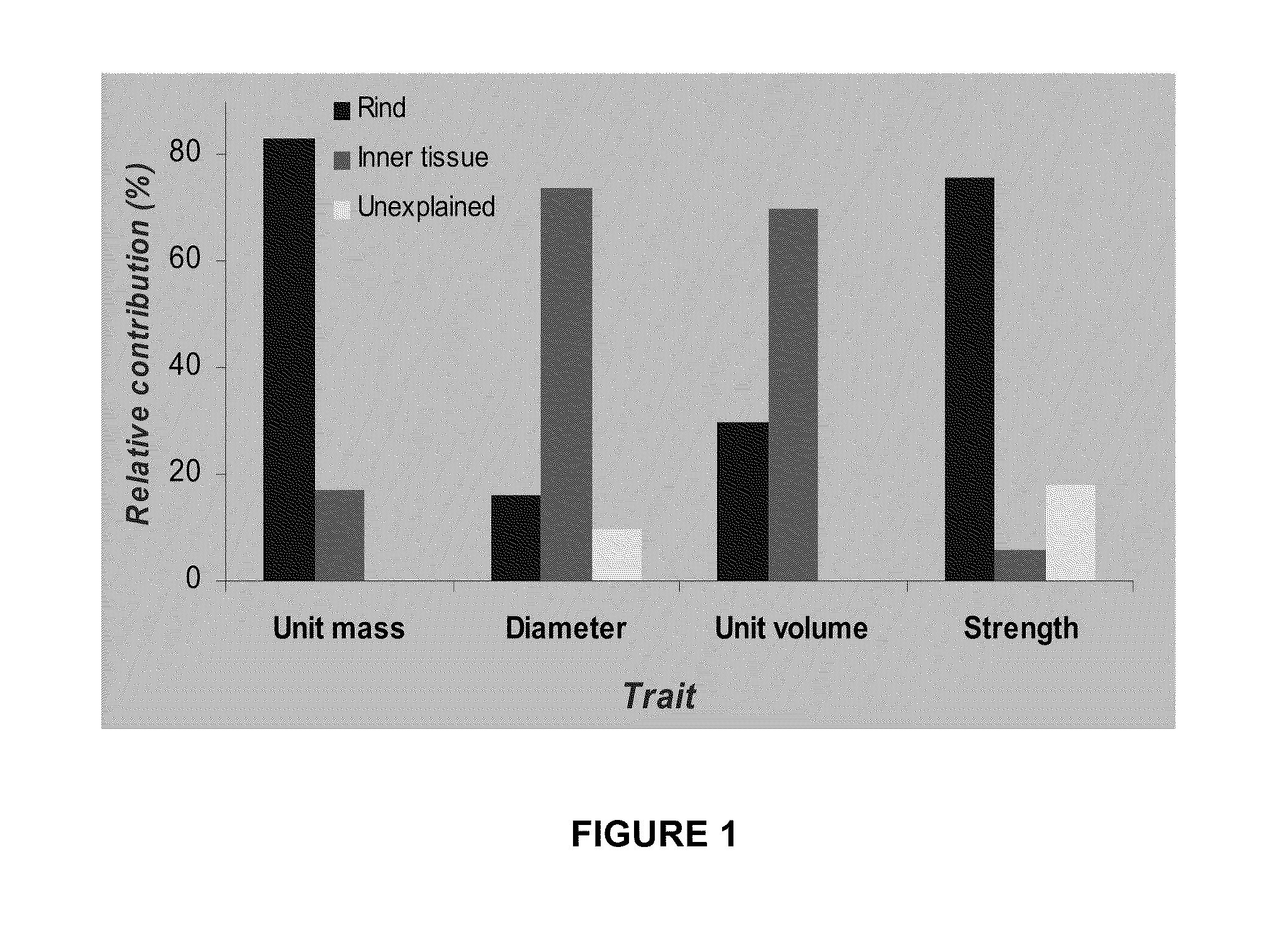 Secondary wall forming genes from maize and uses thereof