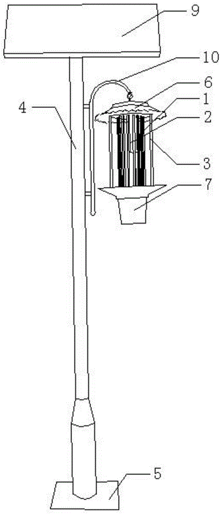 Solar insecticidal lamp