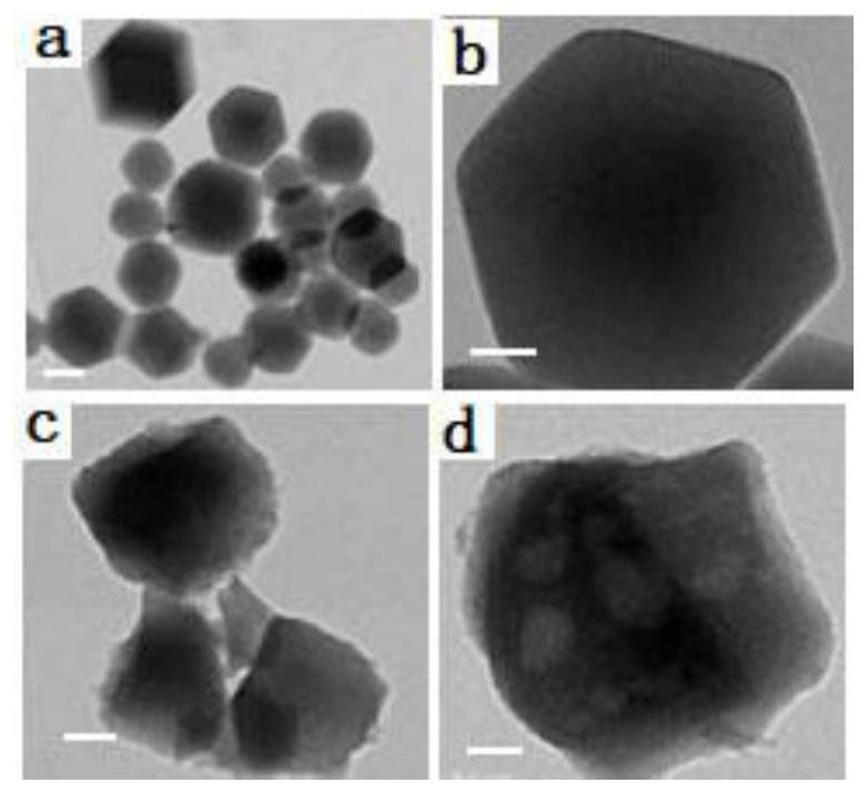 PH and photo-thermal dual-response drug-loaded nanoparticles, injectable collagen hydrogel system as well as preparation method and application of injectable collagen hydrogel system